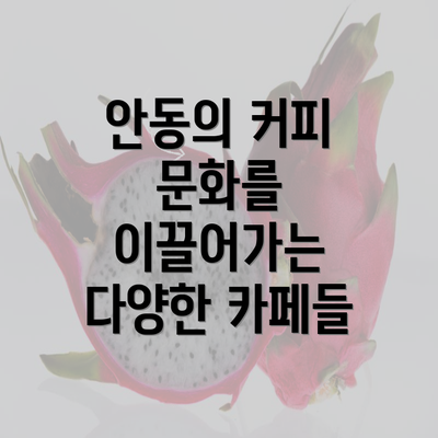 안동의 커피 문화를 이끌어가는 다양한 카페들