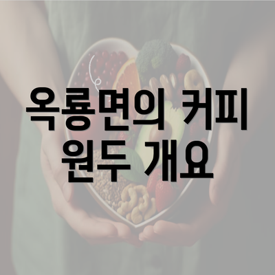 옥룡면의 커피 원두 개요