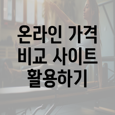 온라인 가격 비교 사이트 활용하기