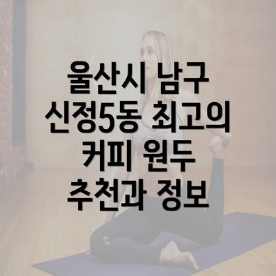 울산시 남구 신정5동 최고의 커피 원두 추천과 정보