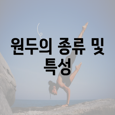 원두의 종류 및 특성