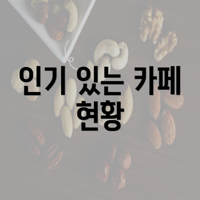 인기 있는 카페 현황