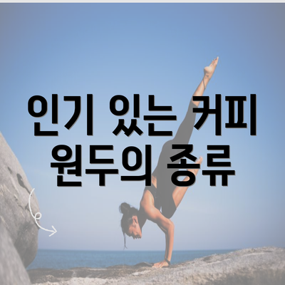 인기 있는 커피 원두의 종류