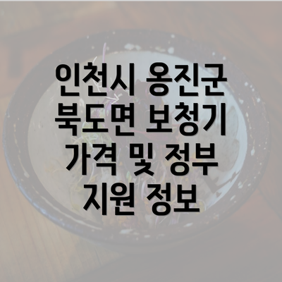 인천시 옹진군 북도면 보청기 가격 및 정부 지원 정보