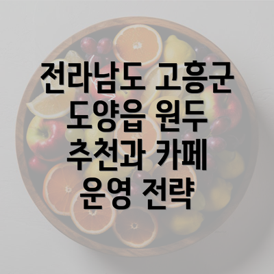 전라남도 고흥군 도양읍 원두 추천과 카페 운영 전략