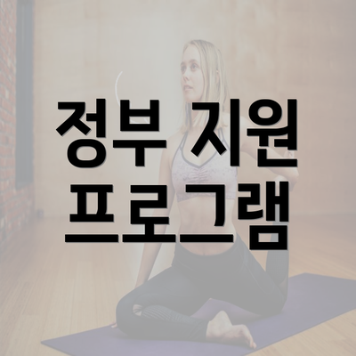 정부 지원 프로그램