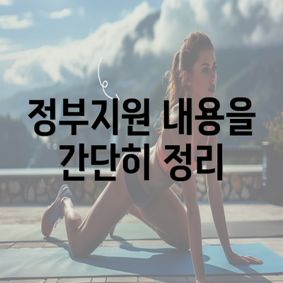 정부지원 내용을 간단히 정리