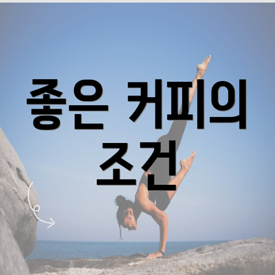 좋은 커피의 조건