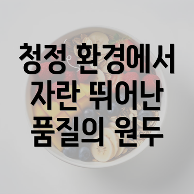 청정 환경에서 자란 뛰어난 품질의 원두