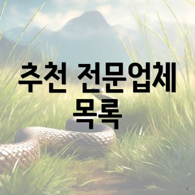 추천 전문업체 목록