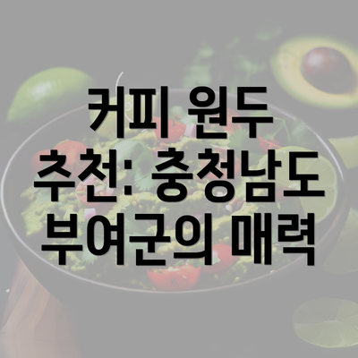 커피 원두 추천: 충청남도 부여군의 매력