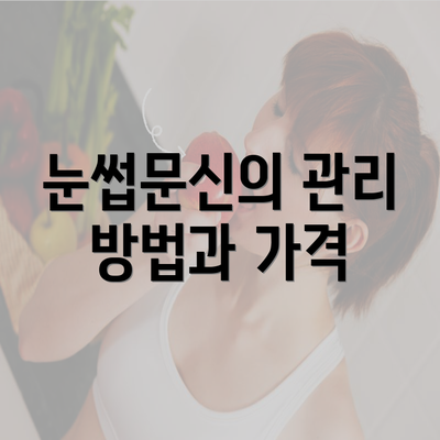 눈썹문신의 관리 방법과 가격
