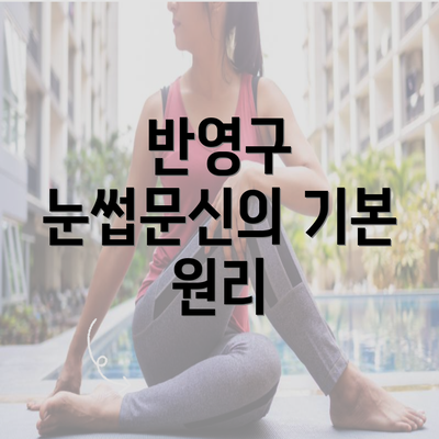 반영구 눈썹문신의 기본 원리