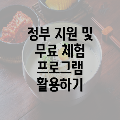 정부 지원 및 무료 체험 프로그램 활용하기