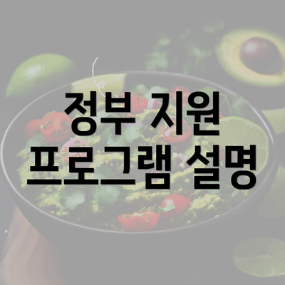 정부 지원 프로그램 설명