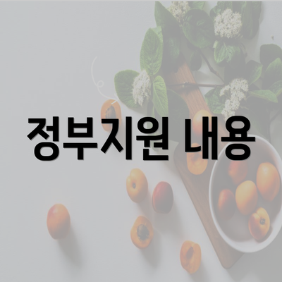 정부지원 내용