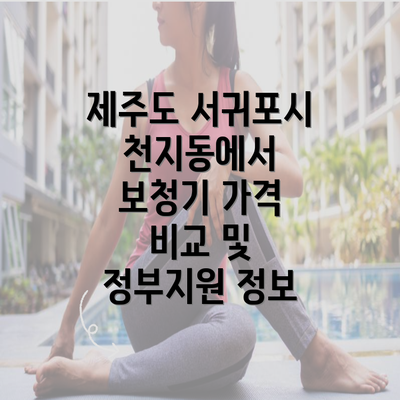 제주도 서귀포시 천지동에서 보청기 가격 비교 및 정부지원 정보