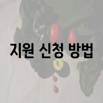 지원 신청 방법