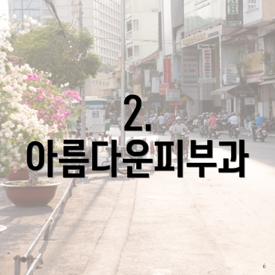 2. 아름다운피부과