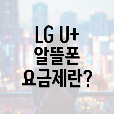 LG U+ 알뜰폰 요금제란?