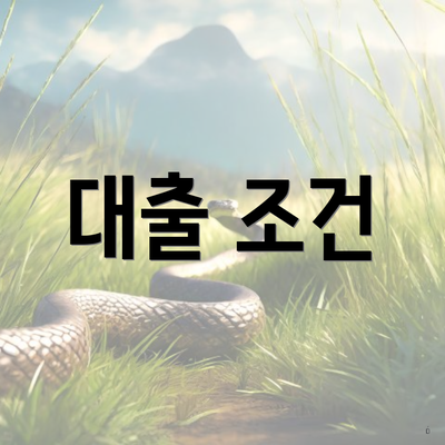 대출 조건