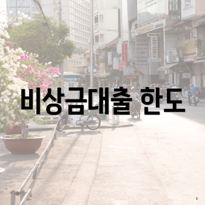 비상금대출 한도