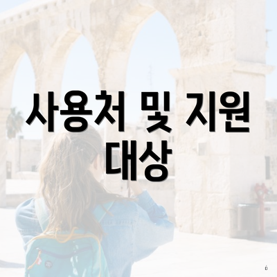사용처 및 지원 대상