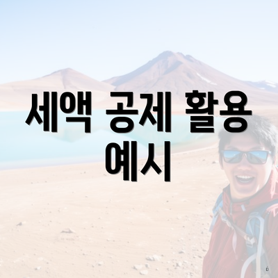 세액 공제 활용 예시