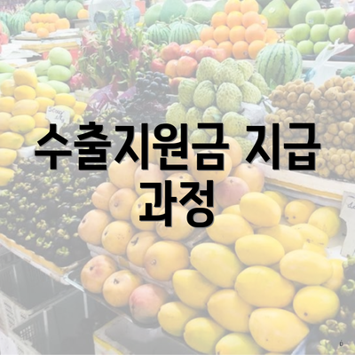 수출지원금 지급 과정