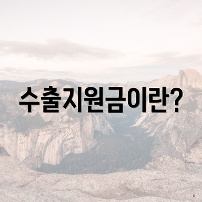 수출지원금이란?