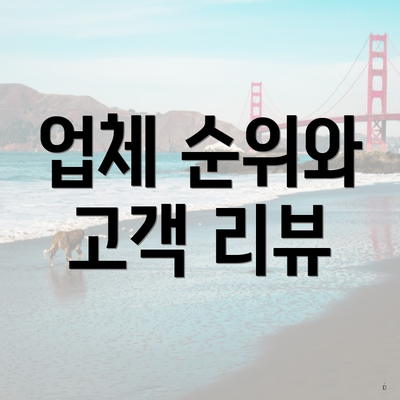 업체 순위와 고객 리뷰