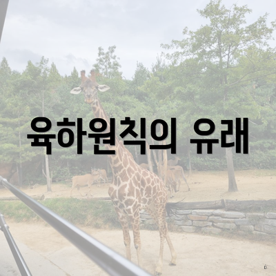 육하원칙의 유래