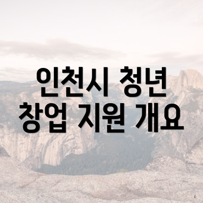 인천시 청년 창업 지원 개요