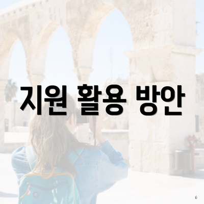 지원 활용 방안