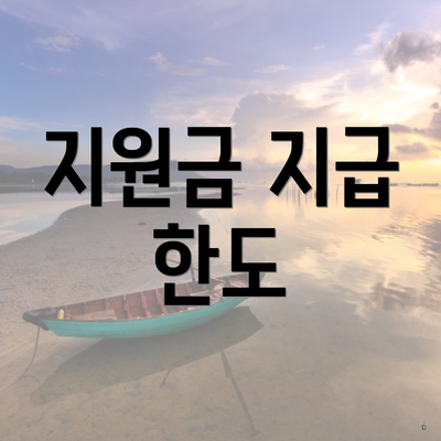 지원금 지급 한도