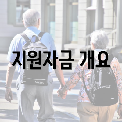 지원자금 개요