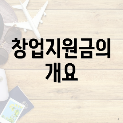 창업지원금의 개요