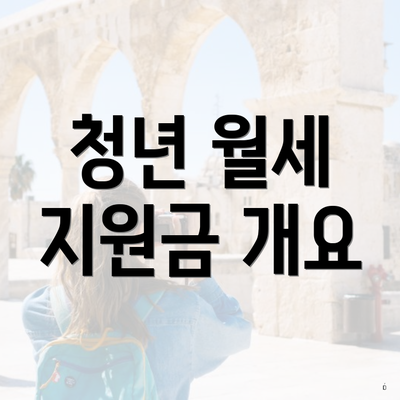청년 월세 지원금 개요