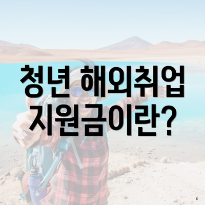 청년 해외취업 지원금이란?