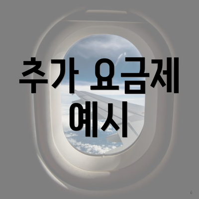 추가 요금제 예시