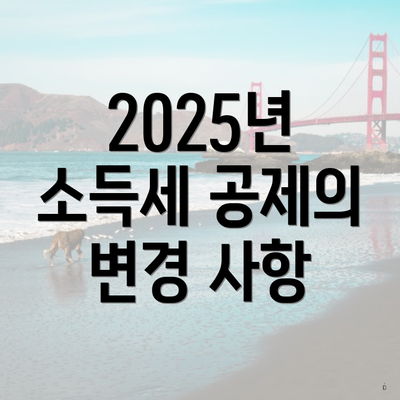 2025년 소득세 공제의 변경 사항