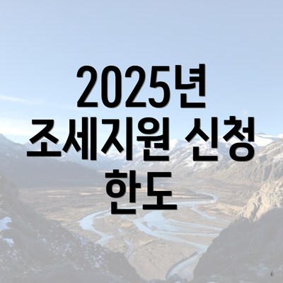 2025년 조세지원 신청 한도