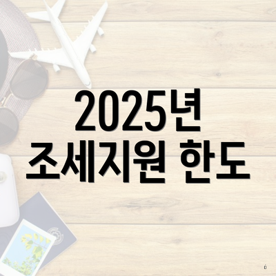 2025년 조세지원 한도