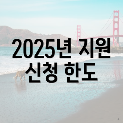 2025년 지원 신청 한도