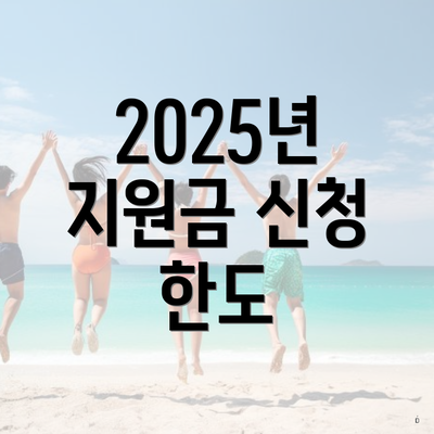 2025년 지원금 신청 한도