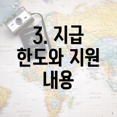 3. 지급 한도와 지원 내용
