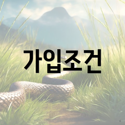 가입조건