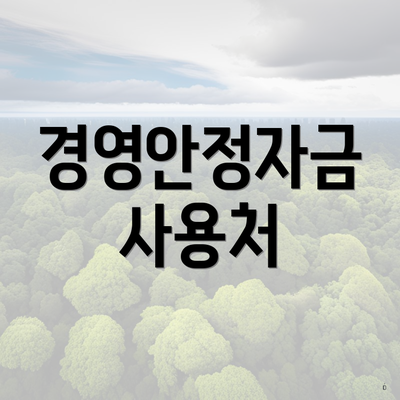 경영안정자금 사용처