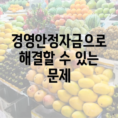 경영안정자금으로 해결할 수 있는 문제