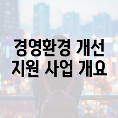 경영환경 개선 지원 사업 개요